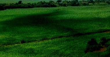 Imóvel Rural Desocupado com 70.050 m² em Mercedes/PR