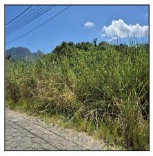 Terreno amplo com 381,4 m², sem benfeitorias, ideal para investimento