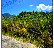 Terreno amplo com 381,4 m², sem benfeitorias, ideal para investimento