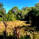 Área de 2.500m² em Erval Seco - Sem Benfeitorias