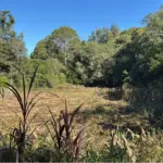 Área de 2.500m² em Erval Seco - Sem Benfeitorias
