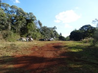 Fração Ideal de Imóvel Rural com Benfeitorias em Erechim/RS