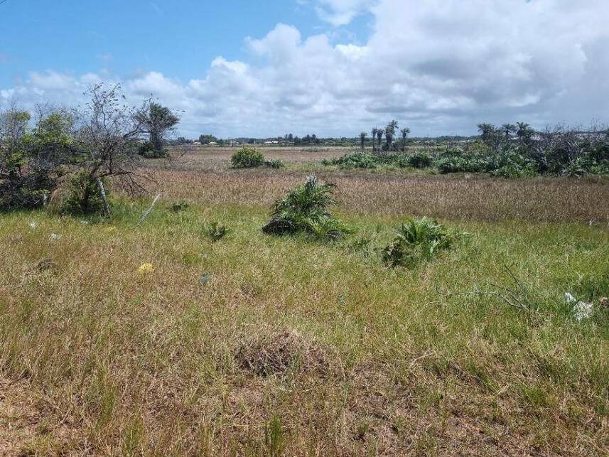 Terreno Ocupado em Vila Rica do Abais com 450 m²