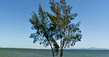 Terreno à venda com 365m² nas margens da Lagoa de Araruama