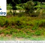 Área de Terras Sem Benfeitorias em Campo Limpo Paulista