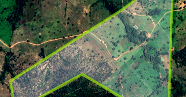 Sítio rural com casa, curral e 39,8 ha