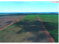 Fazenda com 200 hectares em Sorriso/MT