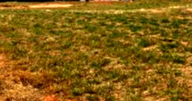 Terreno amplo de 1.510m² no loteamento Terras de Santa Cristina