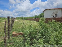 Terreno com 291,9m² em Carnaubais/RN