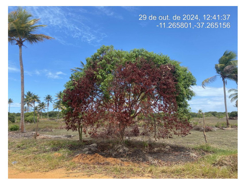 Terreno em Loteamento com 300m²