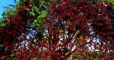 Terreno em Loteamento com 300m²