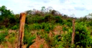 Área Rural com 25,01ha em Formosa da Serra Negra/MA