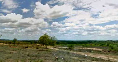 Imóvel Rural com 60,60ha em Canapi/AL