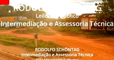 Terreno Urbano 1977m² em Altamira, amplo espaço para investimento