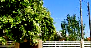 Casa residencial ocupada com matrícula e localização central