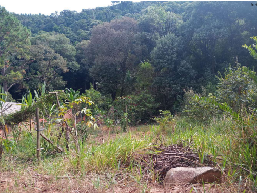 Direitos sobre área rural com 2000m² em Piedade/SP