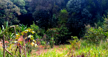 Direitos sobre área rural com 2000m² em Piedade/SP