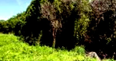 Terreno em Olinda com 360m²