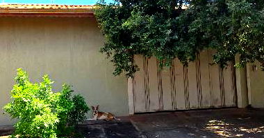 Casa com 3 Quartos e 2 Vagas no Recreio Anhanguera