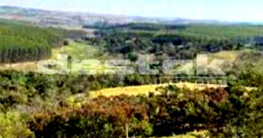 Fazenda em Serra Negra/SP com Casa e Ampla Área Externa