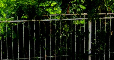 Casa em Cambé/PR com 250m² no Jardim Tupi