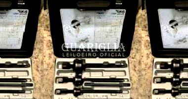 Extratores SKF - Lote 351 com 3 unidades