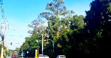 Apartamento com 2 quartos em Canoas