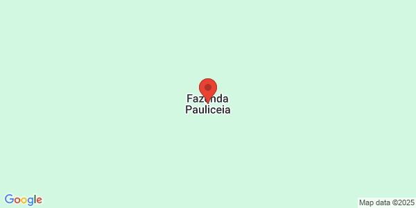 Fazenda com 263 hectares em Maracaju/MS