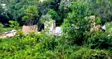 Gleba de Terras com 76 hectares em Xaxim/SC