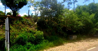 Imóvel Rural Fazenda Tabuão com Vegetação Nativa