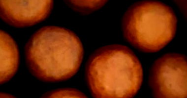 Bens diversos - Leilão Judicial