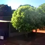 Lote Urbano com Benfeitorias em Glória de Dourados - MS