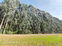Terreno rural de 1,61 hectares em São Mateus do Sul/PR