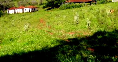 Fazenda com 83,75 alqueires em Chavantes