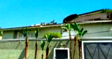 Casa de Alto Padrão com 3 Suítes e 443m² Espaçosa