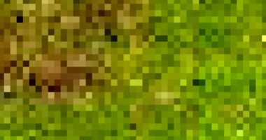 Terreno Desocupado em Serra Talhada/PE