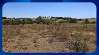 Gleba de terras com 3 hectares, desocupada e ideal para investimento