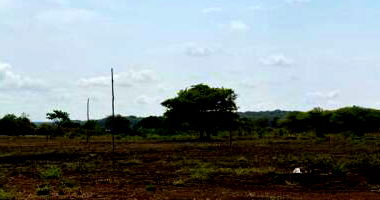 Terreno com 333,69 m² em Araguacema/TO