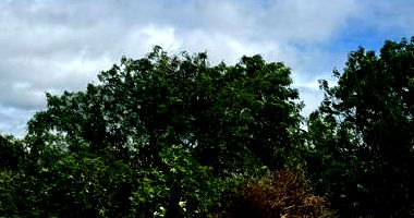 Terreno Urbano Amplo em Santo Amaro - BA