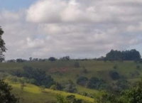 Fazenda São Braz com 136,67 ha, casa e benfeitorias