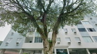 Apartamento com 2 quartos, 80,58m², Jardim São Miguel