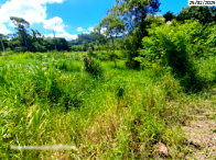 Terreno industrial amplo 2700m² sem benfeitorias