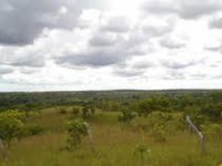 Fazenda Curicaca, 94 hectares, desocupada, ideal para investimento rural