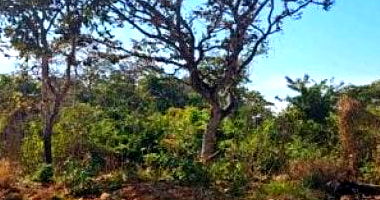 Terreno amplo de 7.965 m² com ocupação e desocupação por conta do comprador