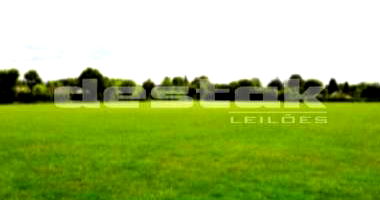 Terreno amplo em Blumenau/SC com 3.769,17 m²