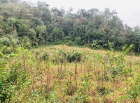 Terreno Rural Irregular com 131.801m² - Fazenda do Antônio