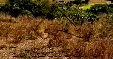 GLEBA DE TERRAS - 3 hectares em Palmares/PE