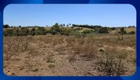 GLEBA DE TERRAS - 3 hectares em Palmares/PE