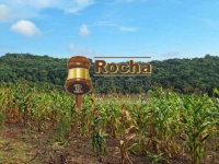 Imóvel Rural com 24,20 Hectares e Benfeitorias