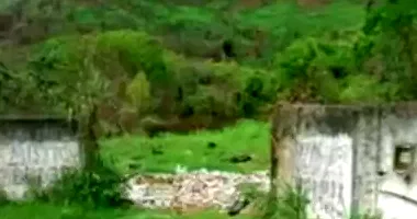Espaçoso Terreno Desocupado de 15.684m² em Leilão